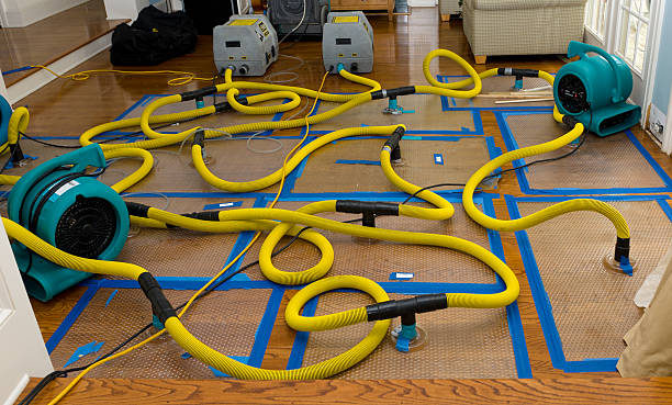 Professional Sewage Cleanup technician working in Sunfield, MI